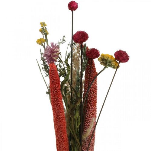 Ramo de flores secas con flores de pradera rosa DIY set H30-35cm