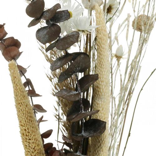 Artículo Ramo de flores secas con eucalipto blanco Caja DIY H30-35cm