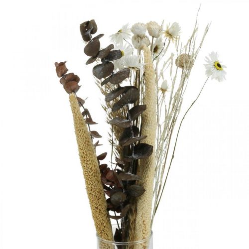 Ramo de flores secas con eucalipto blanco Caja DIY H30-35cm