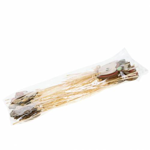 Palitos de plantas surtido otoño 12pcs