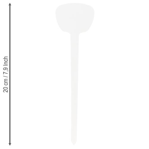 Artículo Etiqueta planta 16cm 10ud.