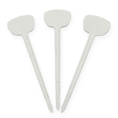 Floristik24 Etiqueta planta 16cm 10ud.