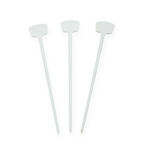 Floristik24 Etiqueta planta 24cm 10ud.