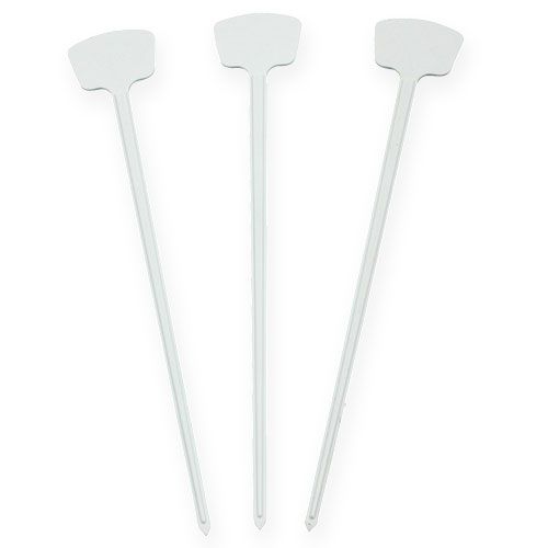 Floristik24 Etiqueta planta 36cm 10uds.