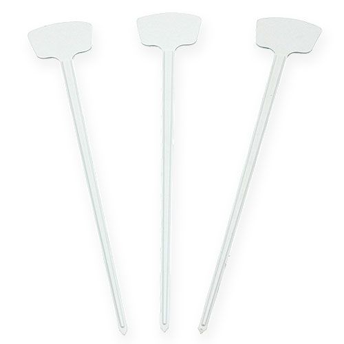 Floristik24 Etiqueta planta 40cm 10uds