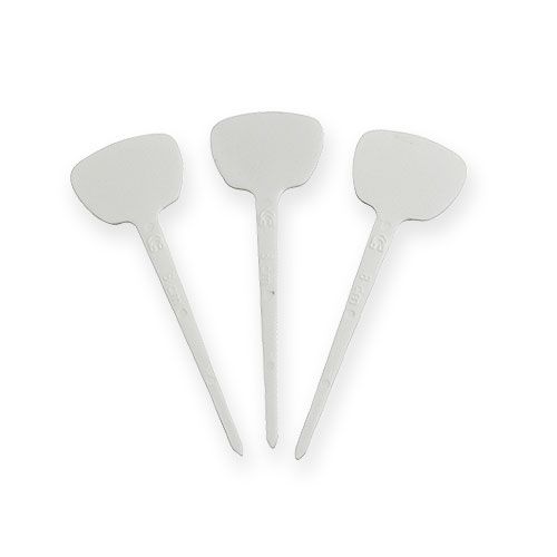 Floristik24 Escudo de planta 8cm 100pcs