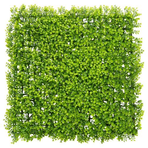 Tapete de plantas artificiales de boj de 55x55 cm para decoración de paredes. comprar | Floristik24.es