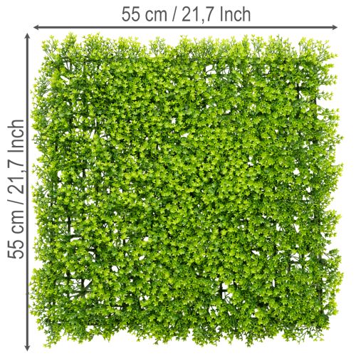 Tapete de plantas artificiales de boj de 55x55 cm para decoración de paredes. | Floristik24.es