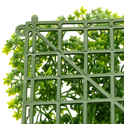 Tapete de plantas artificiales de boj de 55x55 cm para decoración de paredes. | Floristik24.es