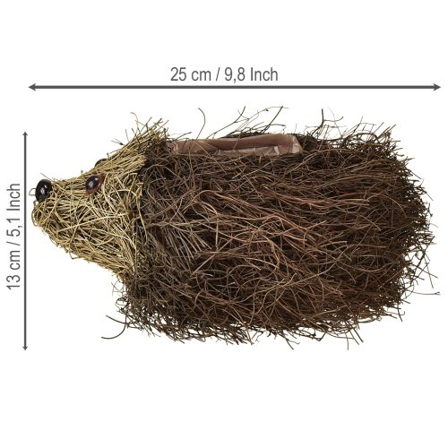 Artículo Jardinera erizo hecha con enredaderas 22cm x 25cm