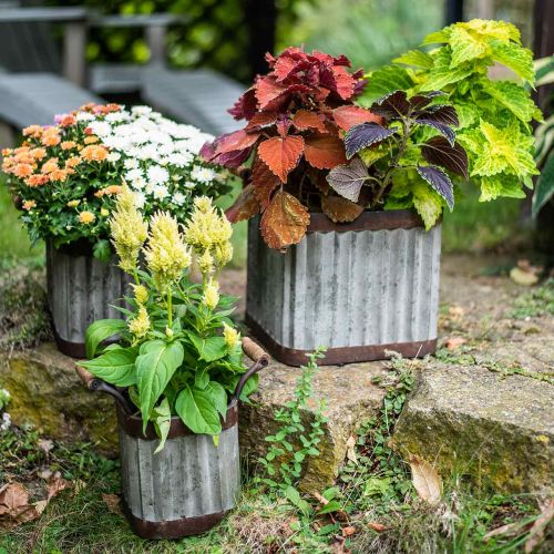 Artículo Jardinera con asas, cuadrada estilo industrial 36 / 31.5 / 24cm, juego de 3