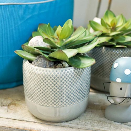 Floristik24 Jardinera de cerámica, jardinera trenzada, maceta de cerámica Ø13cm 3pcs