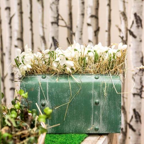 Floristik24 Macetero con asa de metal verde, blanco lavado Al20cm