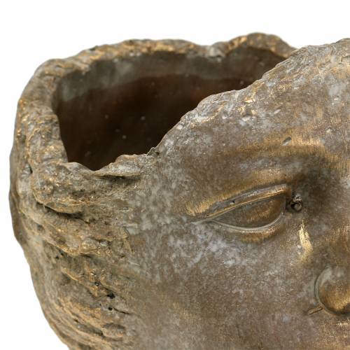 Floristik24 Busto de planta cabeza de planta oro H20cm