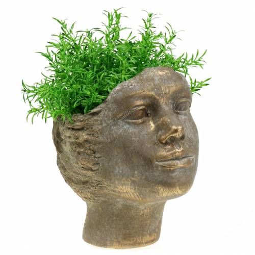 Floristik24 Busto de planta cabeza de planta oro H20cm