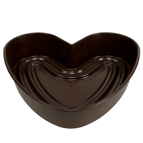 Floristik24 Planta corazón &quot;Amora&quot; marrón 35 x 35cm, 1ud