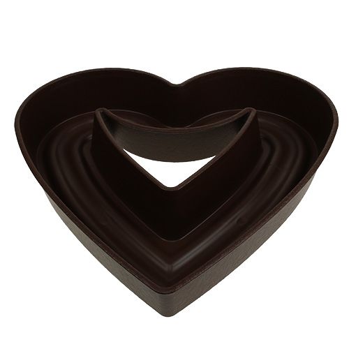 Floristik24 Planta corazón &quot;Amora&quot; 45cm marrón, 1ud