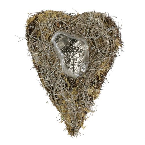 Corazón de plantas hecho de enredaderas y líquenes Naturaleza 25cm x 19cm