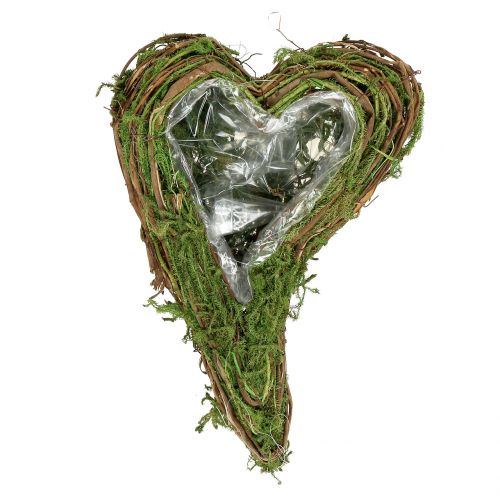 Planta corazón musgo y vid 30cm x 20cm