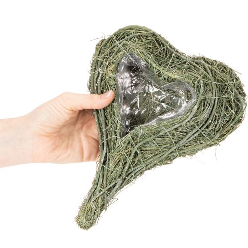 Corazón de planta natural para floristería con lámina, 25 cm | Floristik24.es