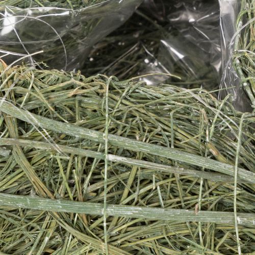 Corazón de planta natural para floristería con lámina, 25 cm | Floristik24.es