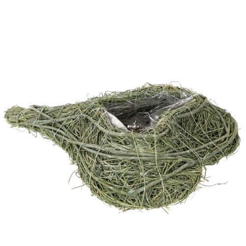 Corazón de planta natural para floristería con lámina, 25 cm | Floristik24.es