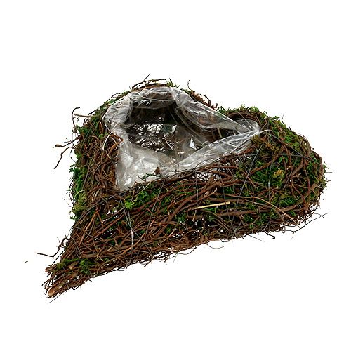 Artículo Planta corazón de vid, musgo 22cm x 25cm H7cm