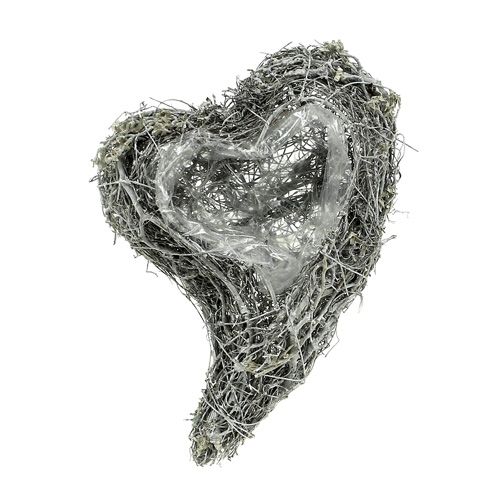 Floristik24 Planta corazón vid 15cm x 23cm x5cm blanco 4uds