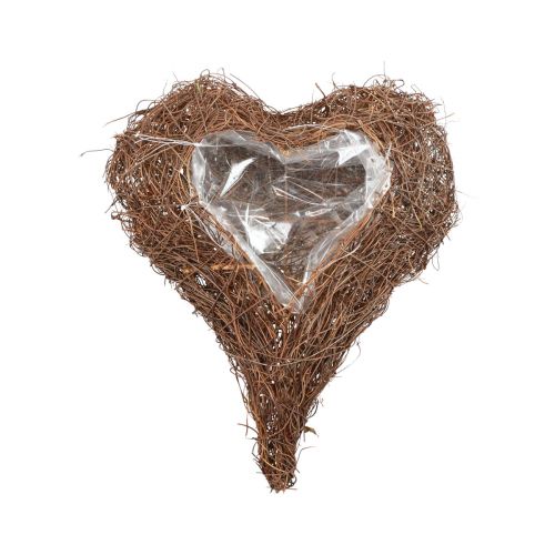 Floristik24 Planta corazón vid corazón planta cuenco natural Salim 21×20,5×6cm