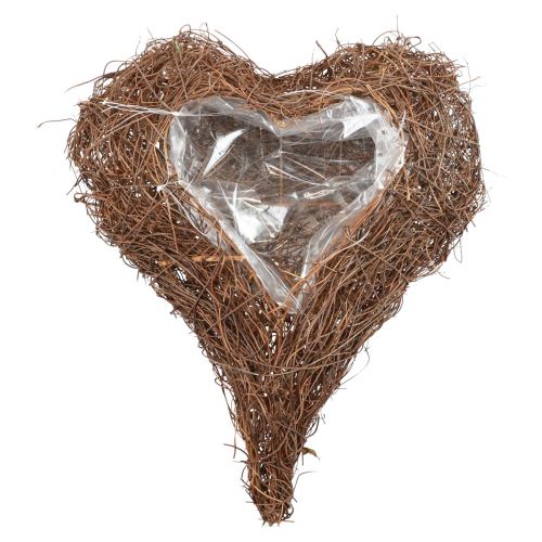 Floristik24 Planta corazón vid corazón planta cuenco natural Salim 25x30x6cm