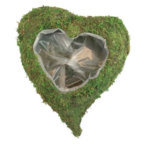 Artículo Planta corazón verde musgo planta cuenco corazón 20x20x5,5cm