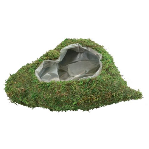 Floristik24 Planta corazón verde musgo planta cuenco corazón 26×30×8cm