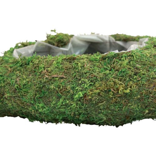 Floristik24 Planta corazón verde musgo planta cuenco corazón 26×30×8cm
