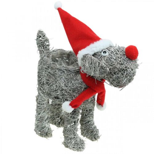 Artículo Perro para plantar, decoración navideña, cesta de plantas, Adviento H30cm L29.5cm
