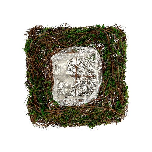 Cojín para plantas enredadera, musgo 22cm x 22cm H7.5cm