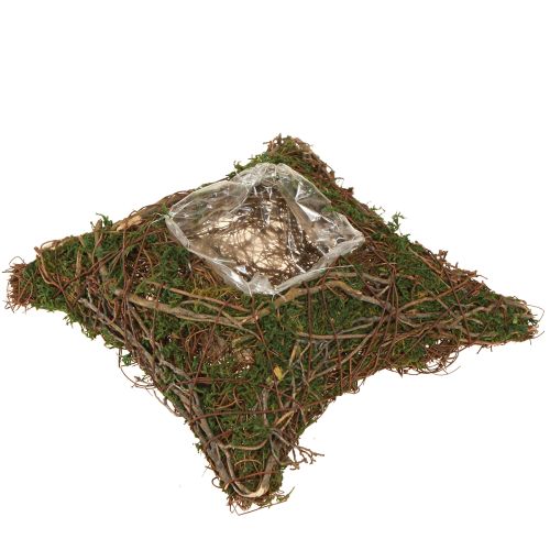 Cojín para plantas con musgo de enredaderas, cuenco natural de 20 x 20 x 6,5 cm