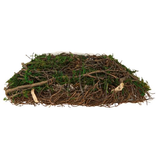 Artículo Cojín para plantas con musgo de enredaderas, cuenco natural de 20 x 20 x 6,5 cm