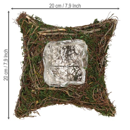 Artículo Cojín para plantas con musgo de enredaderas, cuenco natural de 20 x 20 x 6,5 cm