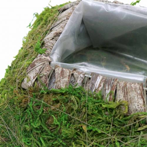 Cojín vegetal musgo, corteza 25cm × 25cm