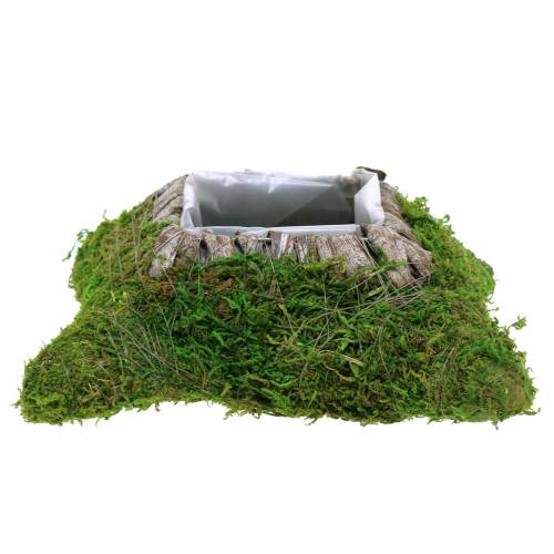 Floristik24 Cojín vegetal musgo, corteza 25cm × 25cm