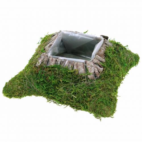 Cojín vegetal musgo, corteza 25cm × 25cm