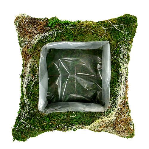 Floristik24 Cojín vegetal musgo 25cm x 25cm 2pcs