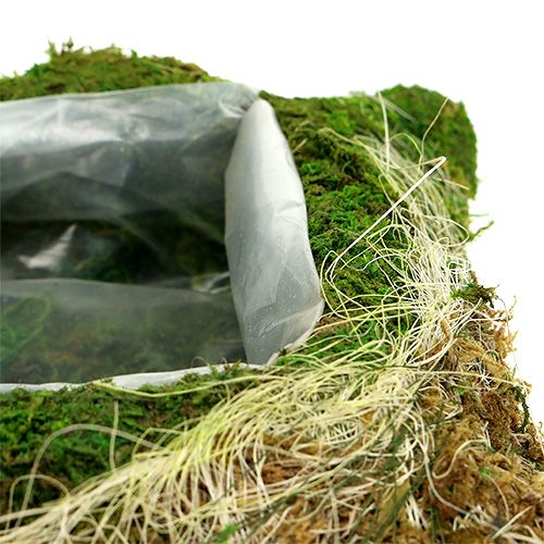 Floristik24 Cojín vegetal musgo 25cm x 25cm 2pcs