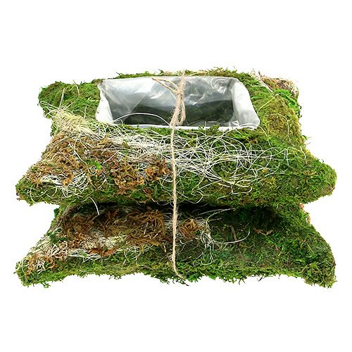 Floristik24 Cojín vegetal musgo 25cm x 25cm 2pcs