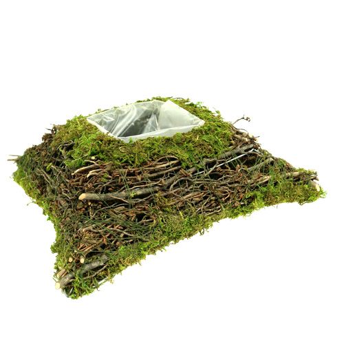 Floristik24 Almohada planta musgo con vid 20cm x 20cm