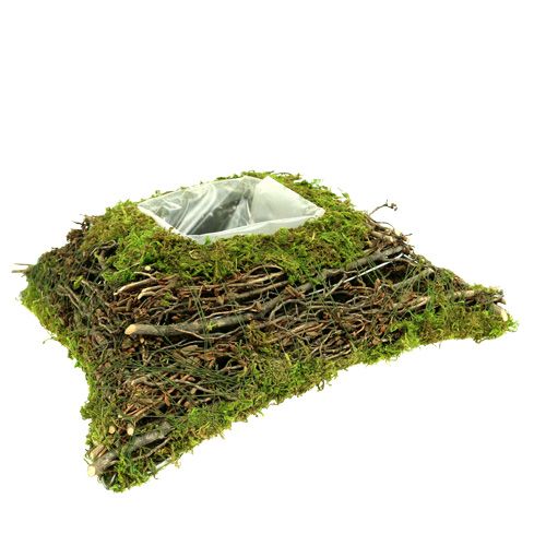 Floristik24 Almohada planta musgo con vid 30cm x 30cm