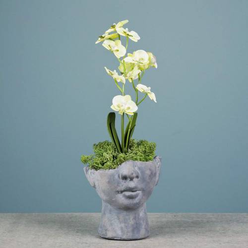 Floristik24 Busto de cabeza de planta de hormigón para plantar gris H13cm 2pcs