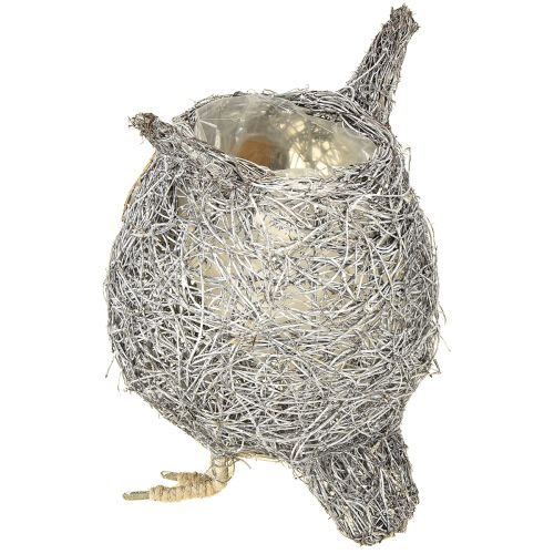 Artículo Cesta para plantas búho enredadera blanca lavada Ø14cm