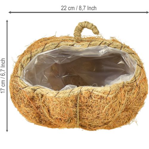 Artículo Cesta para plantas calabaza decoración otoñal naranja Ø22cm H17cm