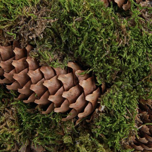 Artículo Cesta para plantas con conos de abeto y musgo con asa Ø32cm H42cm